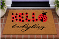 Hello Ladybug
